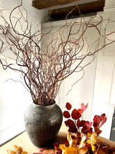 Load image into Gallery viewer, Natural Twisted Willow Branches – Tall Curly Twigs for Vase Decor