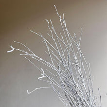 Load image into Gallery viewer, Decorative White Painted Birch Branches Tall Stems for Vase Wedding Centerpiece Décor Dried Twigs for Christmas & White Winter Arrangements