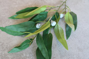 Faux Eucalyptus Spray With Green Leaves & Grey Seed Pods Artificial Foliage Everlasting Spring Greenery