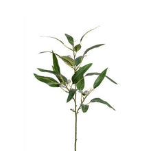 Load image into Gallery viewer, Faux Eucalyptus Spray With Green Leaves &amp; Grey Seed Pods Artificial Foliage Everlasting Spring Greenery