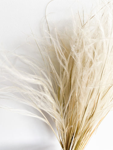 Dried Stipa Pennata Natural Beige Feather Grass One Bunch Length 50cm