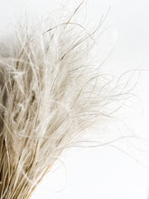 Load image into Gallery viewer, Dried Stipa Pennata Natural Beige Feather Grass One Bunch Length 50cm