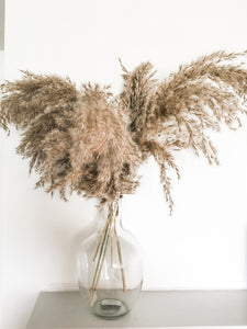 Glass Bottle Neck Vase For Dried Flowers Wedding Table Vase For Pampas Grass Balloon Vase Clear Glass
