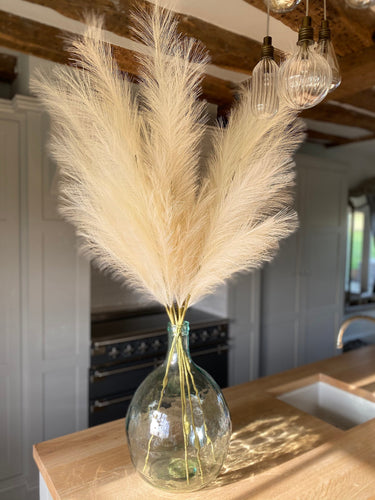 Tall Artificial Pampas Grass Fluffy Cream Plumes For Boho Vase Arrangement Approx 100cm