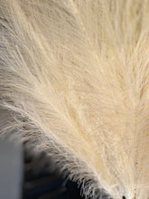 Load image into Gallery viewer, Tall Artificial Pampas Grass Fluffy Cream Plumes For Boho Vase Arrangement Approx 100cm