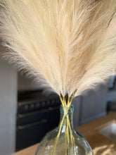 Load image into Gallery viewer, Tall Artificial Pampas Grass Fluffy Cream Plumes For Boho Vase Arrangement Approx 100cm