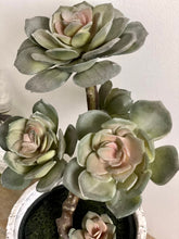 Load image into Gallery viewer, Faux Potted Succulent Echeveria with Faux Moss Realistic Artificial House Plant Maintenance-Free Home Decor Shelf Styling Kitchen &amp; Bathroom