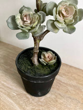 Load image into Gallery viewer, Faux Potted Succulent Echeveria with Faux Moss Realistic Artificial House Plant Maintenance-Free Home Decor Shelf Styling Kitchen &amp; Bathroom