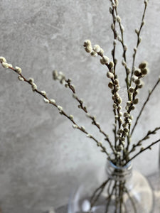 Natural Dried Pussy Willow Bunch Salix Caprea Branches Spring Catkin Twigs Easter Decor Vase Arrangement