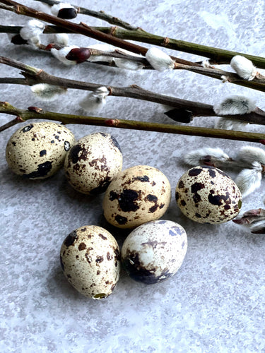 Natural Blown Real Quail Eggs | Set Of 60 | Easter Decoration