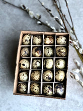 Load image into Gallery viewer, Natural Blown Real Quail Eggs | Set Of 60 | Easter Decoration