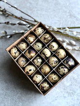 Load image into Gallery viewer, Natural Blown Real Quail Eggs | Set Of 60 | Easter Decoration