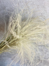 Load image into Gallery viewer, Dried Stipa Pennata Natural Beige Feather Grass One Bunch Length 50cm