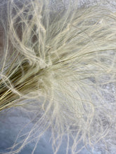 Load image into Gallery viewer, Dried Stipa Pennata Natural Beige Feather Grass One Bunch Length 50cm
