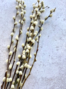 Natural Dried Pussy Willow Bunch Salix Caprea Branches Spring Catkin Twigs Easter Decor Vase Arrangement