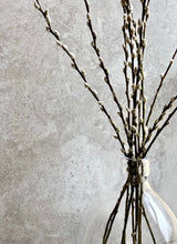 Load image into Gallery viewer, Natural Dried Pussy Willow Bunch Salix Caprea Branches Spring Catkin Twigs Easter Decor Vase Arrangement