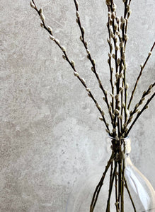 Natural Dried Pussy Willow Bunch Salix Caprea Branches Spring Catkin Twigs Easter Decor Vase Arrangement