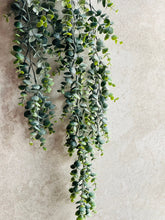 Load image into Gallery viewer, Artificial Trailing Eucalyptus Plant Faux Hanging Green Everlasting Stem Length 75cm