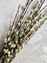 Load image into Gallery viewer, Natural Dried Pussy Willow Bunch Salix Caprea Branches Spring Catkin Twigs Easter Decor Vase Arrangement