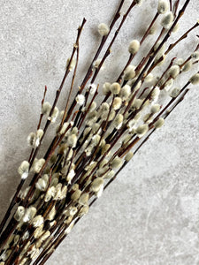 Natural Dried Pussy Willow Bunch Salix Caprea Branches Spring Catkin Twigs Easter Decor Vase Arrangement