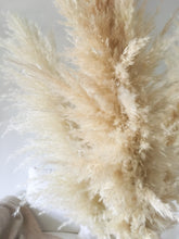 Load image into Gallery viewer, Dried Pampas Grass | Large Fluffy 40-50cm Plumes | Natural Unbleached Cream | Golden Toned | Cortaderia Selloana | 100-110cm Long