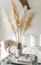 Load image into Gallery viewer, Dried Pampas Grass | Large Fluffy 40-50cm Plumes | Natural Unbleached Cream | Golden Toned | Cortaderia Selloana | 100-110cm Long