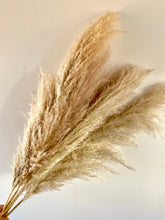 Load image into Gallery viewer, Dried Pampas Grass | Large Fluffy 40-50cm Plumes | Natural Unbleached Cream | Golden Toned | Cortaderia Selloana | 100-110cm Long