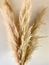 Load image into Gallery viewer, Dried Pampas Grass | Large Fluffy 40-50cm Plumes | Natural Unbleached Cream | Golden Toned | Cortaderia Selloana | 100-110cm Long