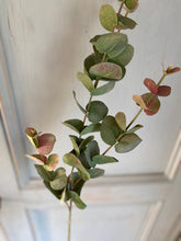Load image into Gallery viewer, Artificial Eucalyptus Stem Faux Dusky Green &amp; Blush Eucalyptus Stem Faux Everlasting Foliage