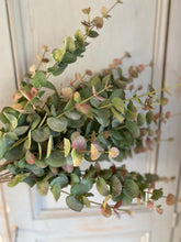 Load image into Gallery viewer, Artificial Eucalyptus Stem Faux Dusky Green &amp; Blush Eucalyptus Stem Faux Everlasting Foliage