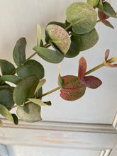 Load image into Gallery viewer, Artificial Eucalyptus Stem Faux Dusky Green &amp; Blush Eucalyptus Stem Faux Everlasting Foliage