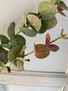 Artificial Eucalyptus Stem Faux Dusky Green & Blush Eucalyptus Stem Faux Everlasting Foliage