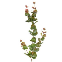 Load image into Gallery viewer, Artificial Eucalyptus Stem Faux Dusky Green &amp; Blush Eucalyptus Stem Faux Everlasting Foliage