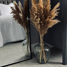 Load image into Gallery viewer, Glass Bottle Neck Vase For Dried Flowers Wedding Table Vase For Pampas Grass Balloon Vase Clear Glass