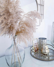 Load image into Gallery viewer, Glass Bottle Neck Vase For Dried Flowers Wedding Table Vase For Pampas Grass Balloon Vase Clear Glass