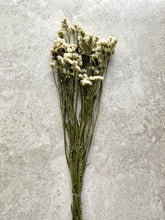 Load image into Gallery viewer, Dried White Statice Bunch Natural Limonium Flowers White Everlasting Flowers Small Bunch Approx 60cm Length BRITISH GROWN