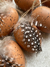 Load image into Gallery viewer, Hanging Easter Eggs For Easter Tree Decoration | Faux Brown &amp; Black Speckled Effect With Real Guinea Fowl Feather | Set Of 9