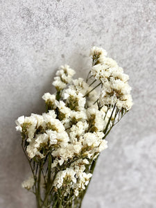 Dried White Statice Bunch Natural Limonium Flowers White Everlasting Flowers Small Bunch Approx 60cm Length BRITISH GROWN