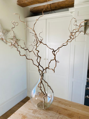 Contorted Hazel Corylus Branches Curly Tall Twigs For Vase Corkscrew Natural Twisted Stems Minimalist Japandi Decor Wabi Sabi 90-100cm Long