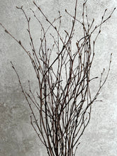 Load image into Gallery viewer, Dried Birch Twigs Bunch Spring Branches For Natural Vase Arrangement Silver Birch Bundle Of 10 Stems