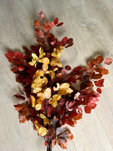 Load image into Gallery viewer, Real Preserved Copper Beech Bunch Autumn Shades Dried Autumnal Foliage Leaves Length approx 70cm