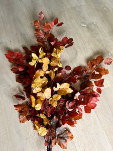 Real Preserved Copper Beech Bunch Autumn Shades Dried Autumnal Foliage Leaves Length approx 70cm