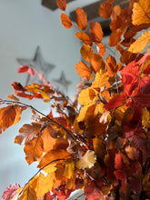 Load image into Gallery viewer, Real Preserved Copper Beech Bunch Autumn Shades Dried Autumnal Foliage Leaves Length approx 70cm