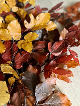 Load image into Gallery viewer, Real Preserved Copper Beech Bunch Autumn Shades Dried Autumnal Foliage Leaves Length approx 70cm