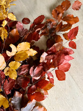 Load image into Gallery viewer, Real Preserved Copper Beech Bunch Autumn Shades Dried Autumnal Foliage Leaves Length approx 70cm