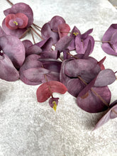 Load image into Gallery viewer, Faux Burgundy Eucalyptus Stem Artificial Everlasting Foliage Length 100cm