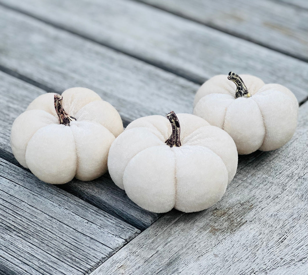 White Velvet Faux Pumpkins Set Of 3 Fabric Mini Pumpkin Fall Seasonal Decoration Halloween Decorations Autumn Table Decor Styling