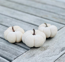 Load image into Gallery viewer, White Velvet Faux Pumpkins Set Of 3 Fabric Mini Pumpkin Fall Seasonal Decoration Halloween Decorations Autumn Table Decor Styling