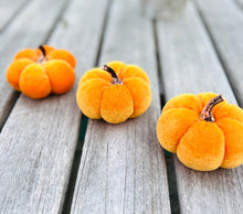 Load image into Gallery viewer, Orange Velvet Faux Pumpkins Set Of 3 Fabric Mini Pumpkin Fall Seasonal Decoration Halloween Decorations Autumn Table Decor Styling