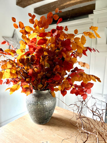 Real Preserved Copper Beech Bunch Autumn Leaves Dried Autumnal Foliage Leaves Fall Autumn Bouquet Dried Vase Arrangement Autumn Decor